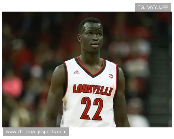 火箭队球员阿德尔生涯介绍与代表作精选