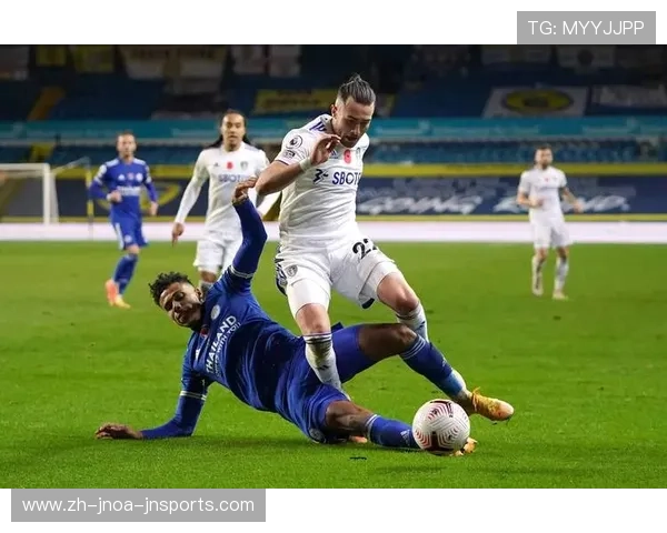 英超埃弗顿俱乐部现役主要球员资料与表现概览